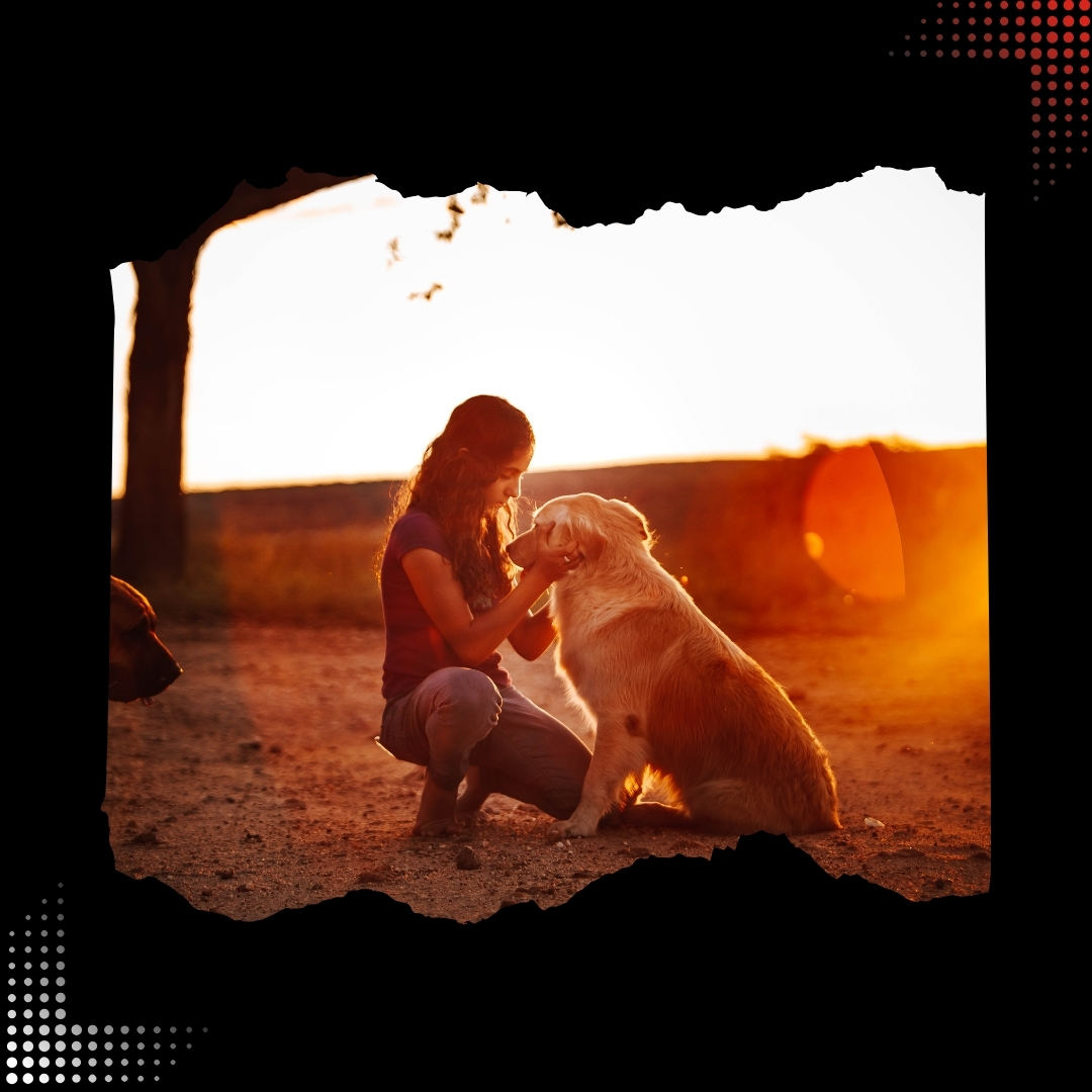 Pets and Animals